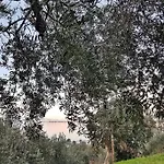 Amazing Sea View-neos Pyrgos -evoia Greece بيت للعطل *
