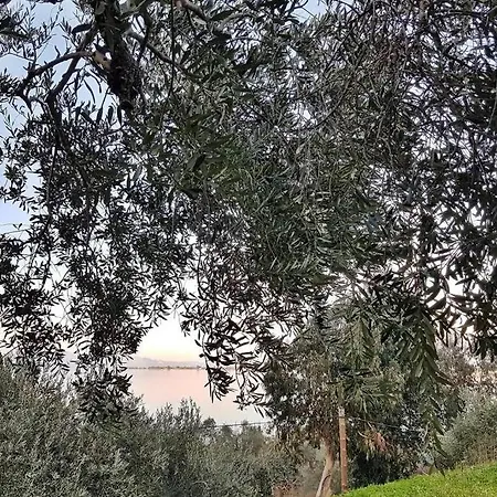 Amazing Sea View-neos Pyrgos -evoia Greece Feriehus *